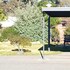 stawell