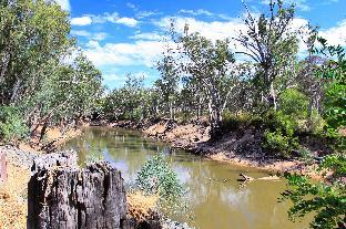 cocknbull boutique hotel