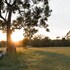 hunter hideaway cottages
