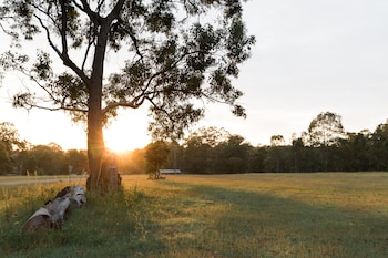 hunter hideaway cottages
