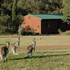 hunter hideaway cottages