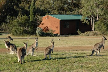 hunter hideaway cottages