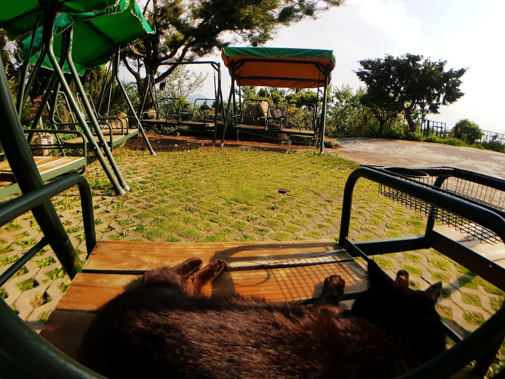 shan shui yuan vege guest house