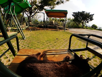 shan shui yuan vege guest house