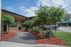The Grapevine Motel,Near Denman Golf Course,4 star