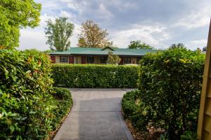 The Grapevine Motel,Near Denman Golf Course,4 star