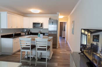 dolphin cove adults only