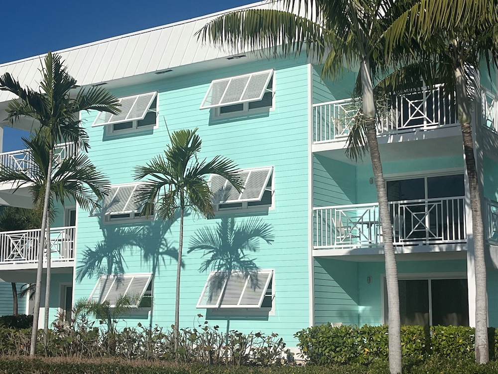 dolphin cove adults only