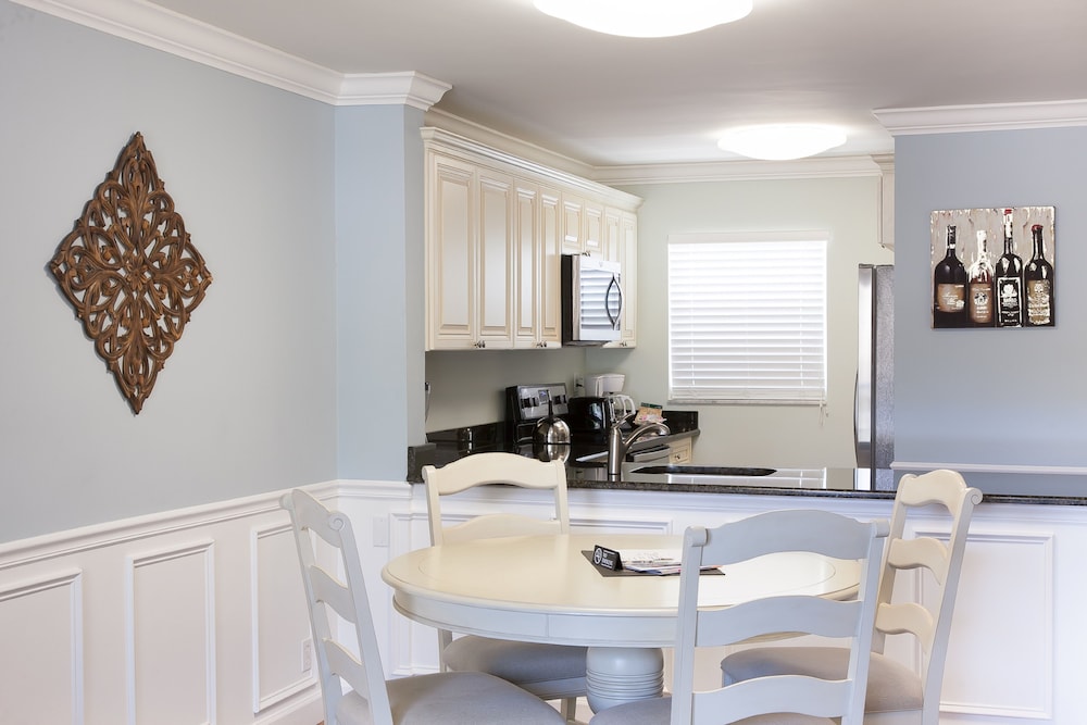 dolphin cove adults only