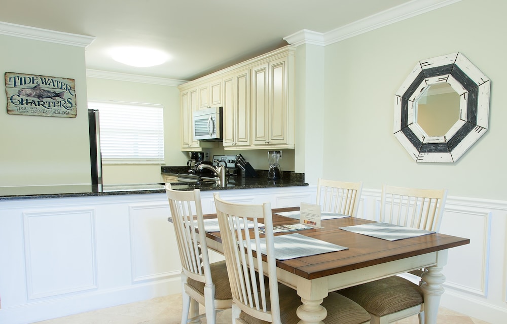 dolphin cove adults only