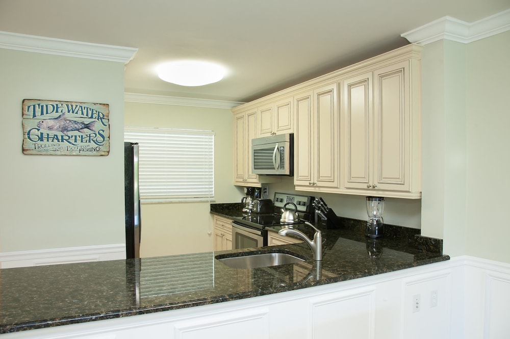 dolphin cove adults only