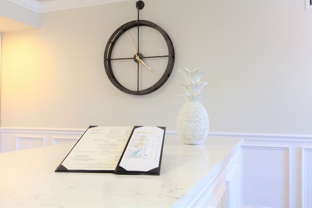 dolphin cove adults only