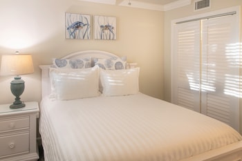 dolphin cove adults only