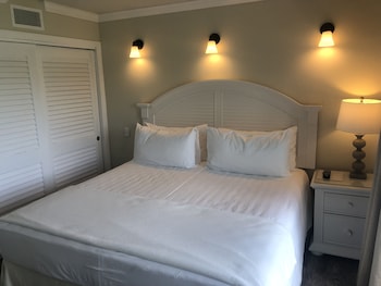 dolphin cove adults only