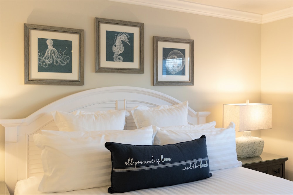 dolphin cove adults only