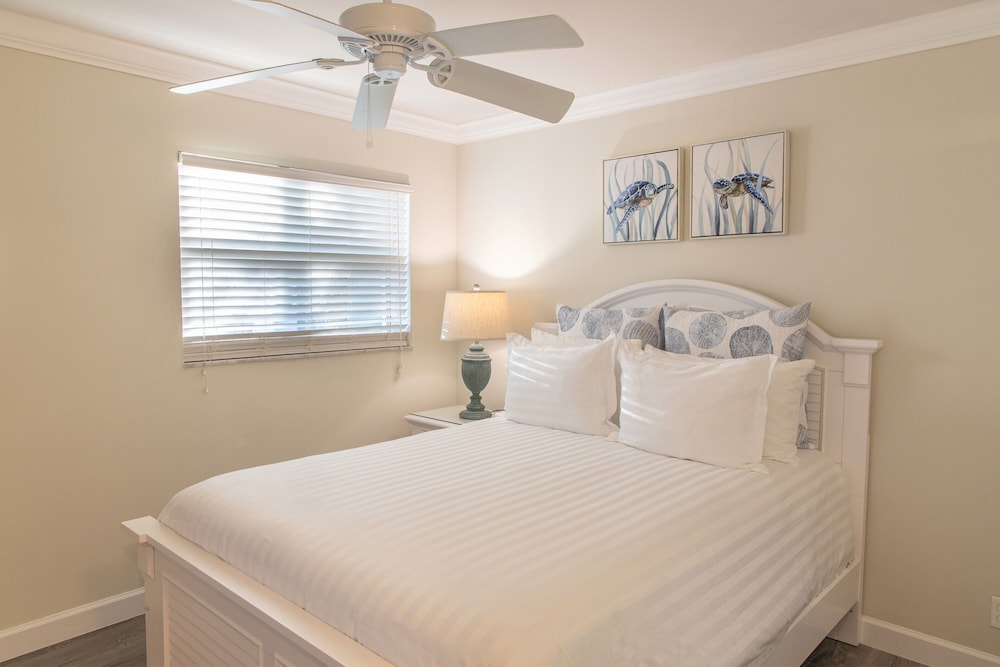 dolphin cove adults only