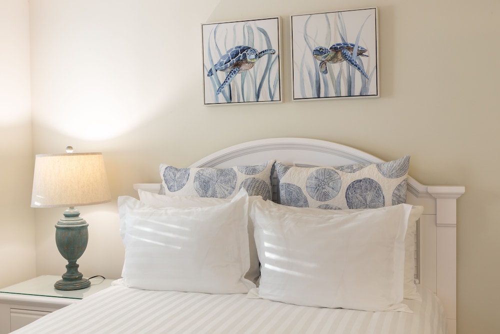 dolphin cove adults only