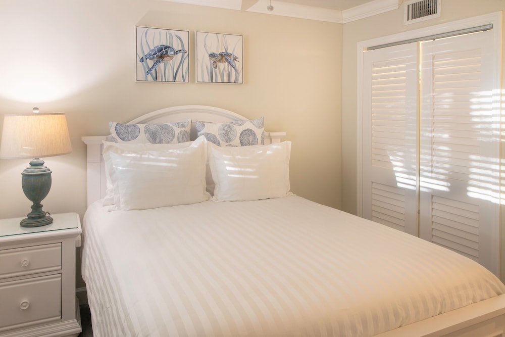 dolphin cove adults only