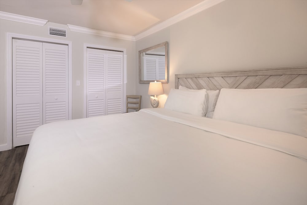 dolphin cove adults only