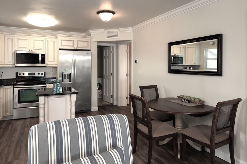 dolphin cove adults only