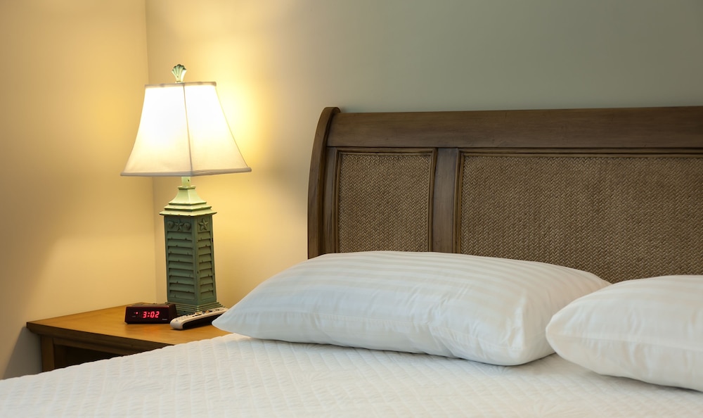 dolphin cove adults only