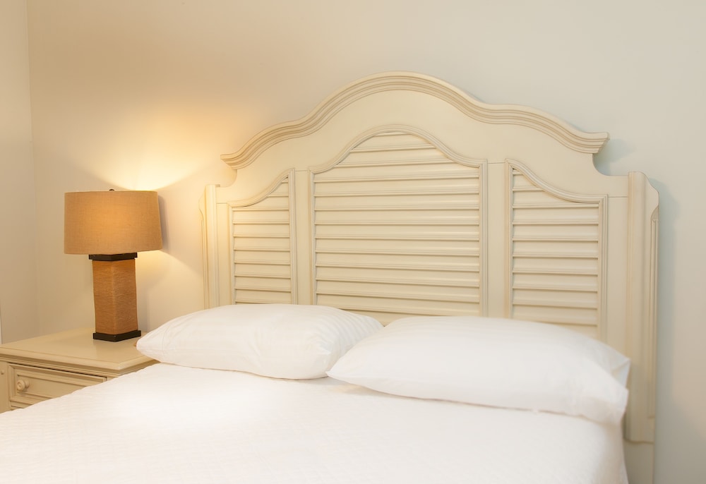 dolphin cove adults only