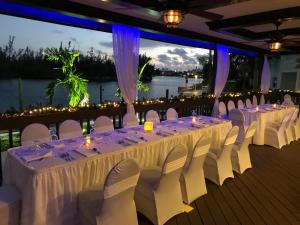 dolphin cove adults only