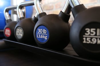 dolphin cove adults only