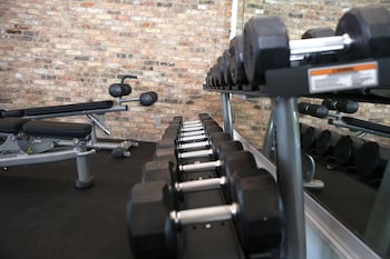 dolphin cove adults only