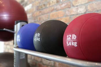 dolphin cove adults only