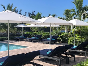 dolphin cove adults only