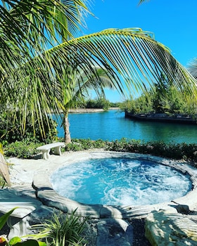 dolphin cove adults only