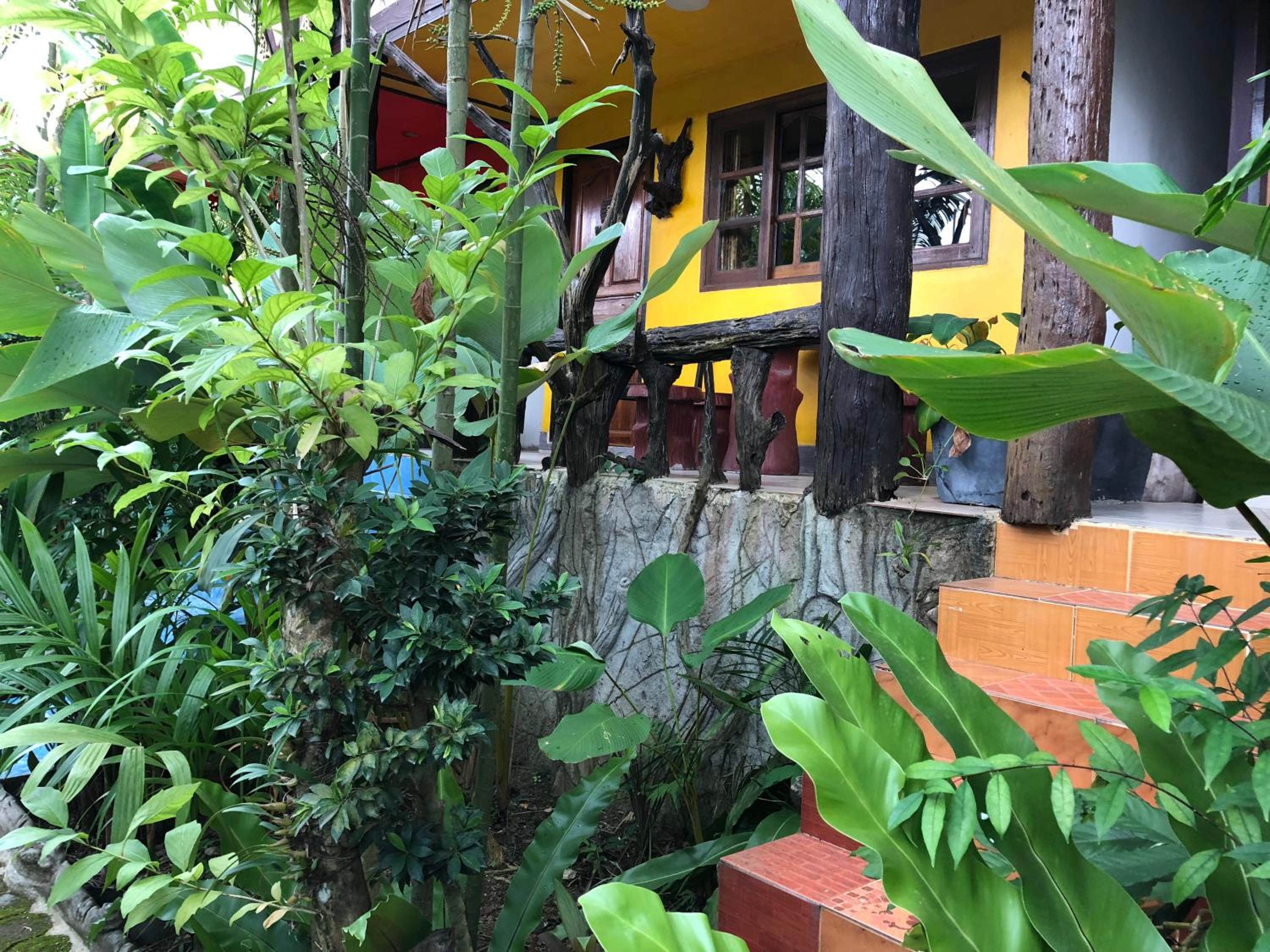 ruan mai sang ngam resort