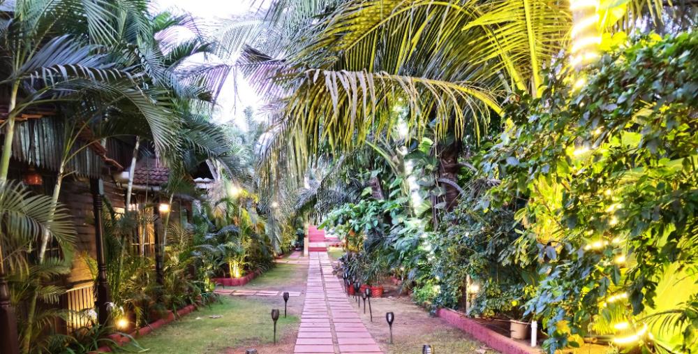 shining sand beach hotel