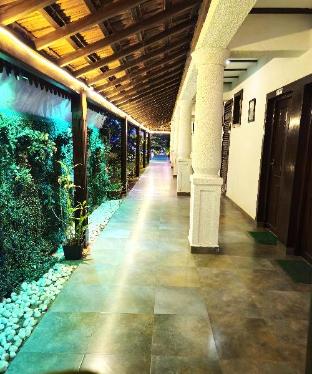 shining sand beach hotel