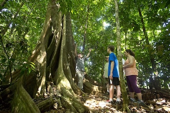bosque del cabo rain forest lodge
