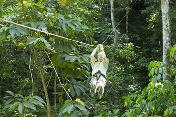 bosque del cabo rain forest lodge