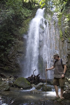 bosque del cabo rain forest lodge
