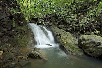 bosque del cabo rain forest lodge