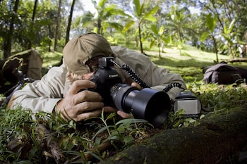 bosque del cabo rain forest lodge