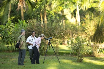 bosque del cabo rain forest lodge