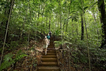 bosque del cabo rain forest lodge