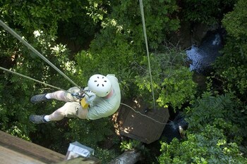 bosque del cabo rain forest lodge