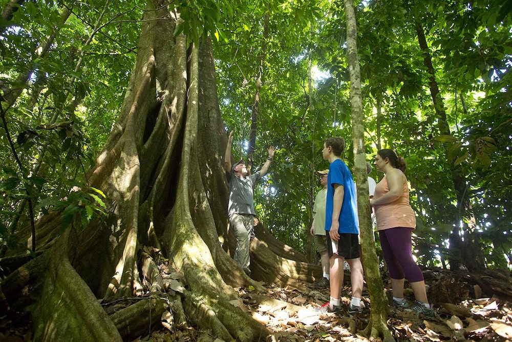bosque del cabo rain forest lodge