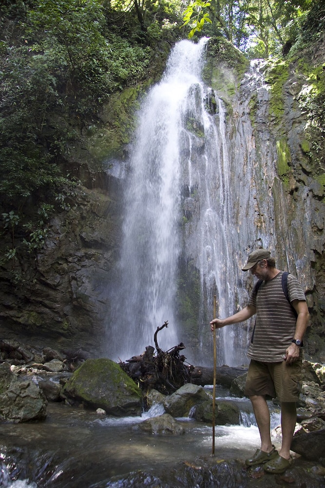 bosque del cabo rain forest lodge
