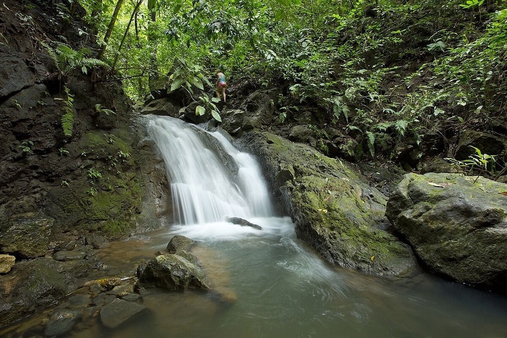 bosque del cabo rain forest lodge