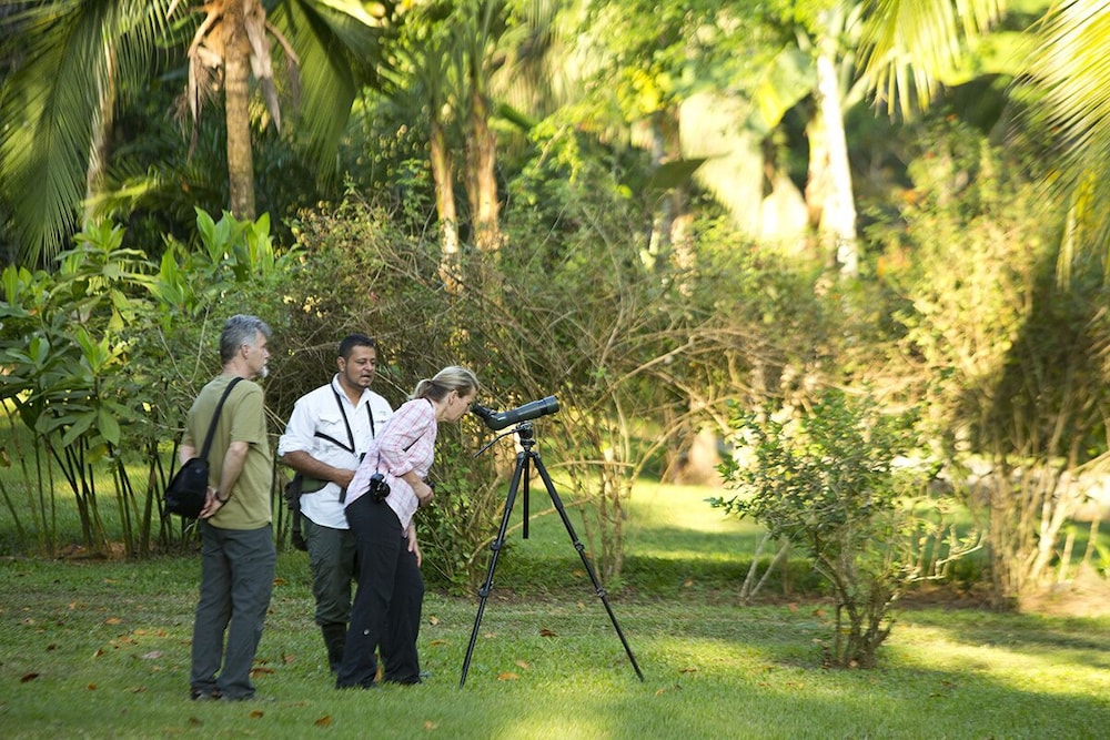 bosque del cabo rain forest lodge