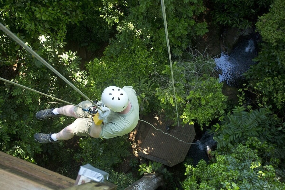 bosque del cabo rain forest lodge