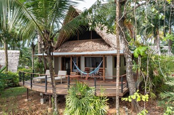 bosque del cabo rain forest lodge