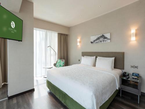 olive tree hotel